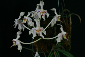 Image 119-8