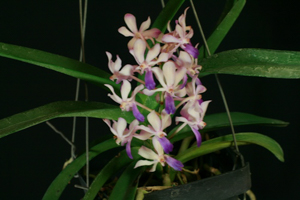 Image 120-9