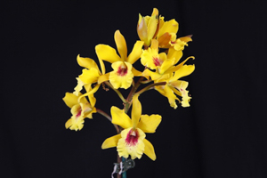 Image 159-4