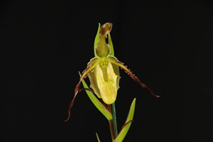 Image 199-6