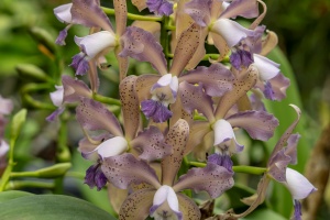 Image 263-6