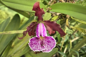 Image 293-3