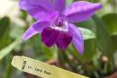 Reading Your Plant Label