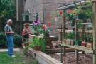 Home and Backyard Orchid Growing