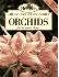 Orchids