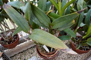 Image 13