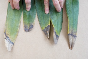 Image 14