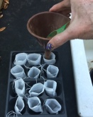 Fill Tea Bags with Organic Fertilizer