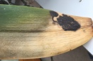Spots Spreading on Phalaenopsis