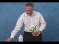 Pests and Diseases Videos